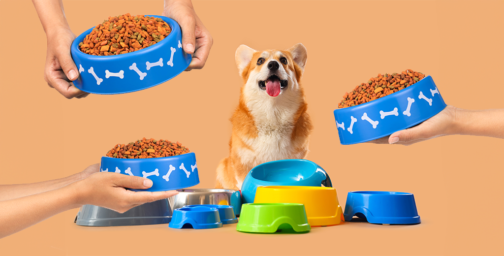 Choosing the Right Dog Food: Key Factors to Consider